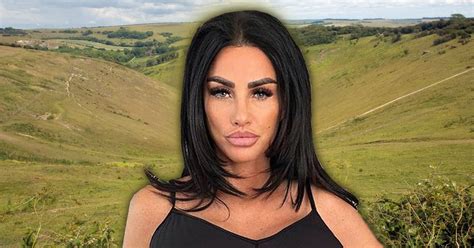 katie price porm